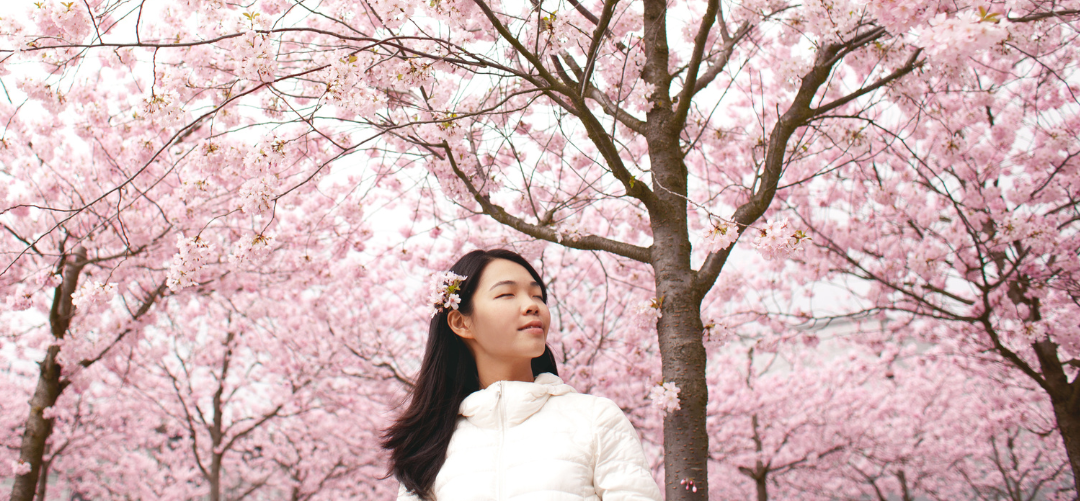 J-Beauty and K-Beauty: Can They Be Compared?