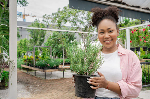 Does Rosemary Really Help Hair Growth?