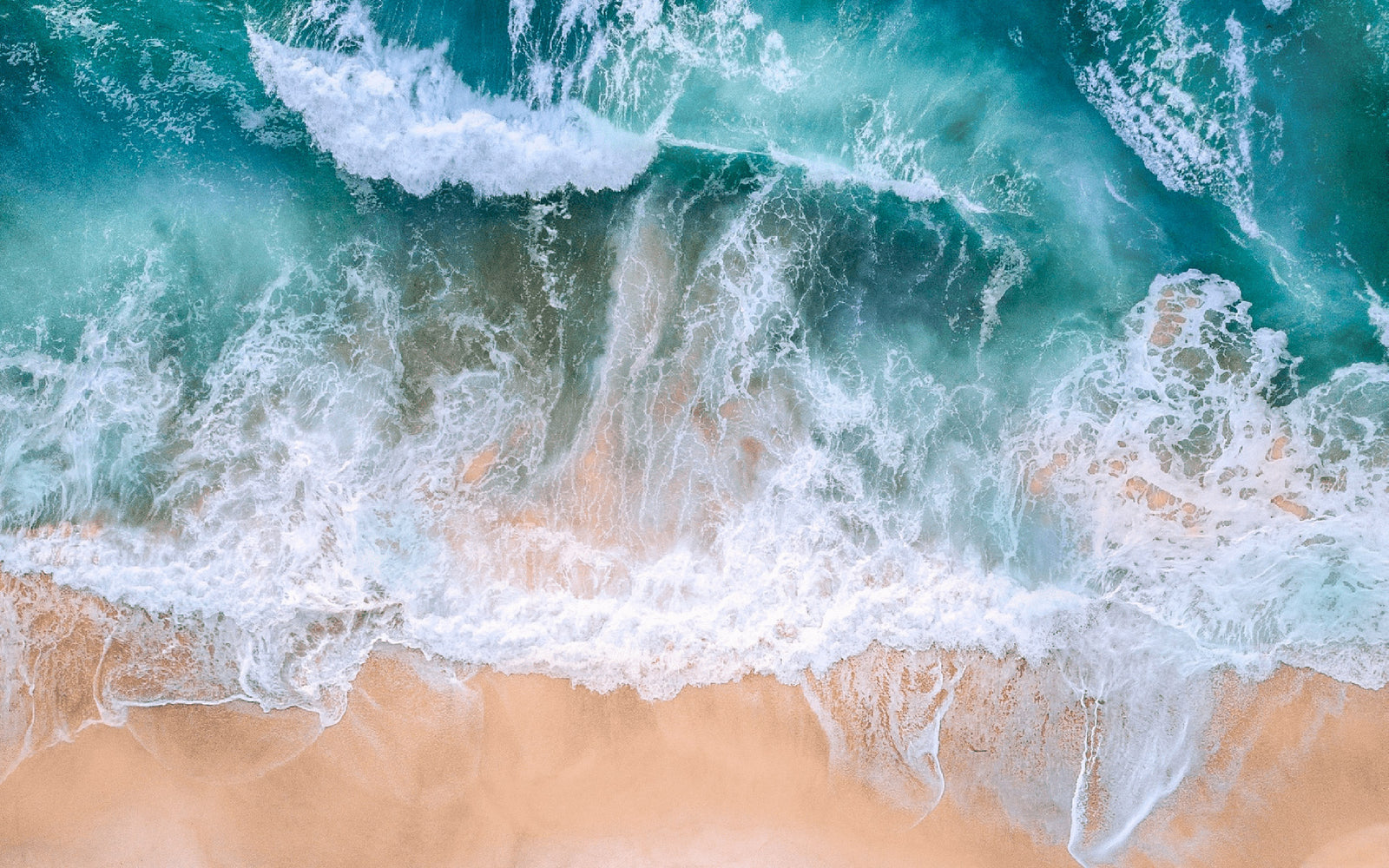 Supply Chain Transparency